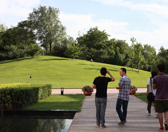 馬奈草地國(guó)際俱樂(lè)部 綠化