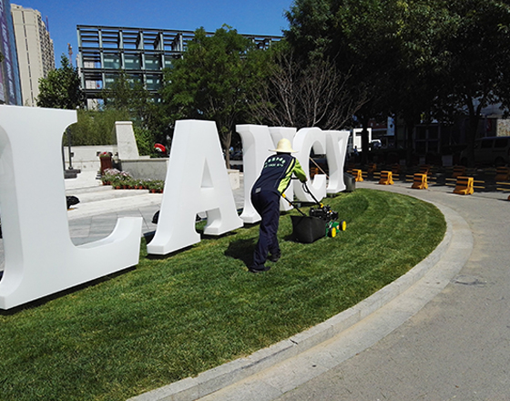 朗姿股份大廈 綠化施工、綠植租擺