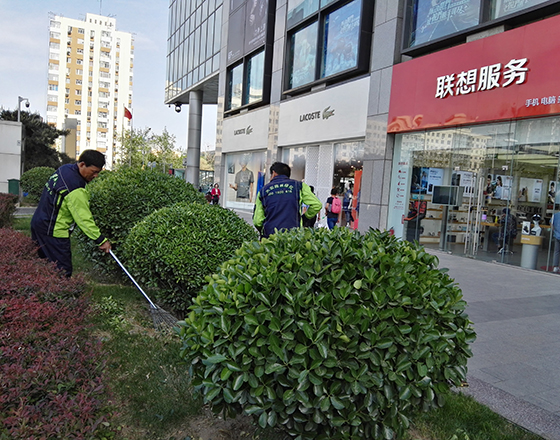 新中關(guān)購(gòu)物中心 綠化