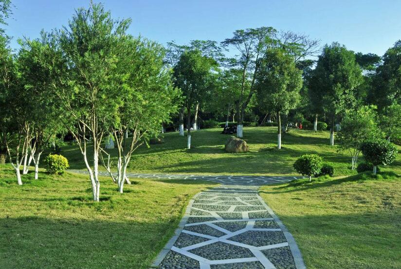 園林工程施工全過程，你如何來進行