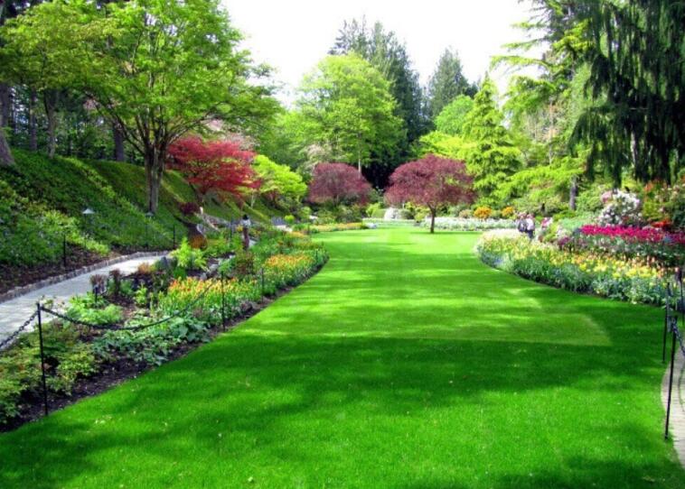 園林綠化養(yǎng)護都需要哪些資質(zhì)