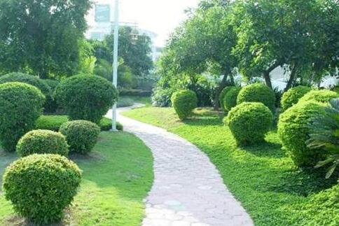 如何控制園林綠化養(yǎng)護(hù)費(fèi)用？