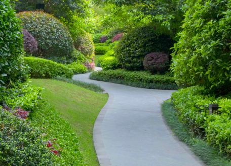 小區(qū)綠化等級(jí)標(biāo)準(zhǔn)、綠化養(yǎng)護(hù)計(jì)劃及每月安排