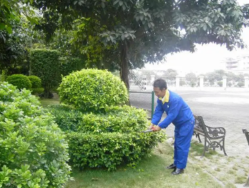 綠化養(yǎng)護(hù)如何提高管理水平？
