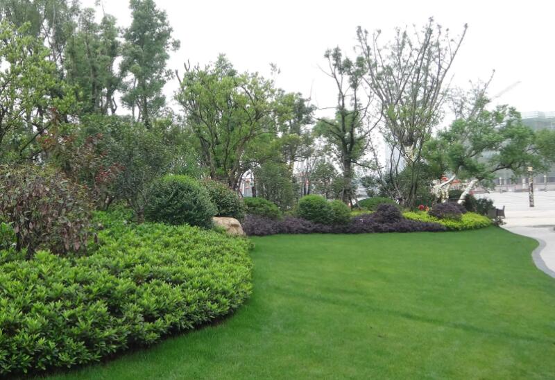 園林綠化工程施工五大細(xì)節(jié)，你了解多少