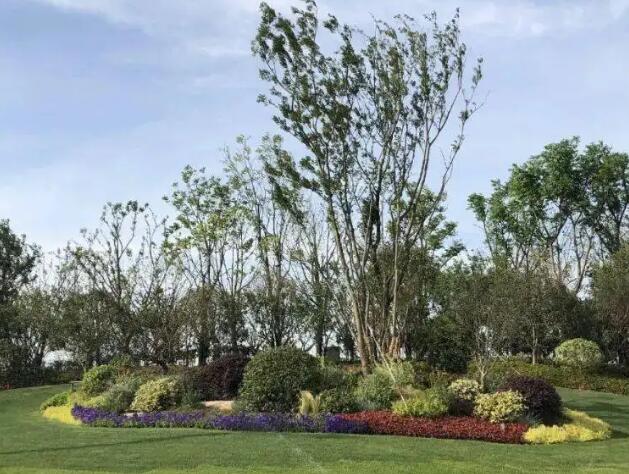 園林綠化工程造價(jià)控制要點(diǎn)有哪些？