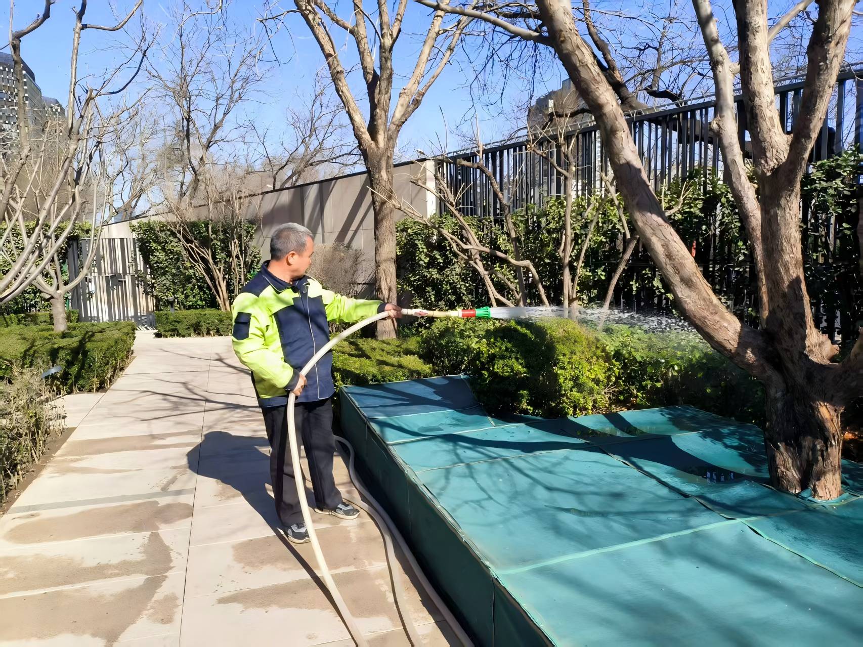 園林綠化之春季養(yǎng)護指南