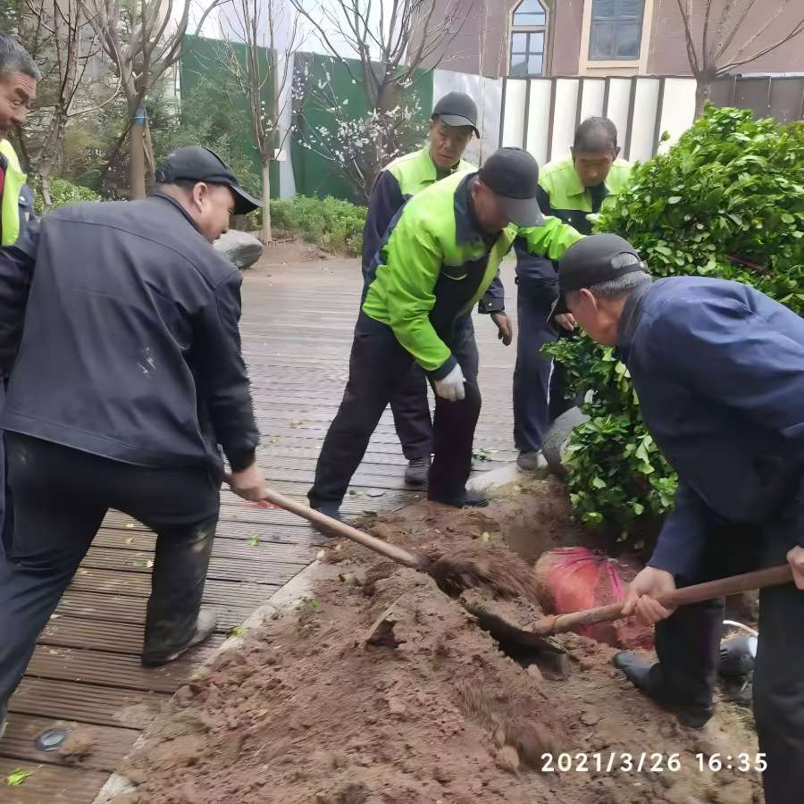 園林綠化工程施工中有那些注意事項(xiàng)